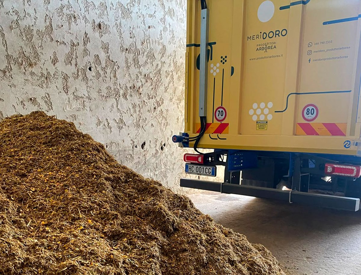 Consegna in rinfusa con camion Meridoro
