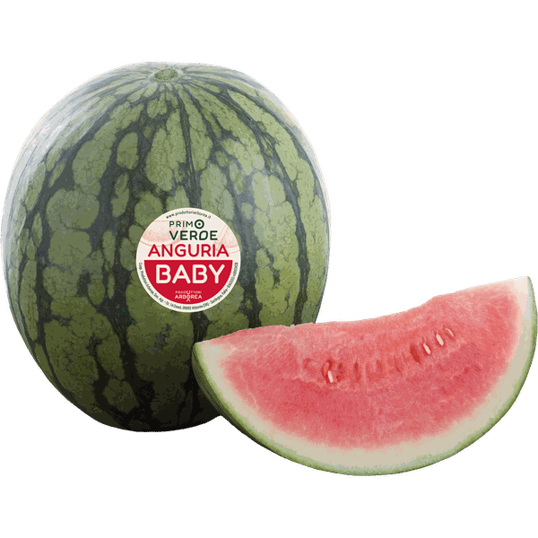 Anguria Baby Primoverde