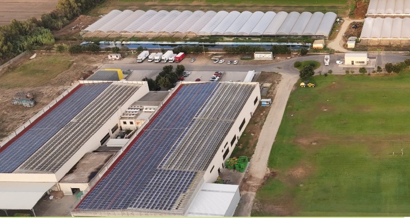 Veduta aerea degli stabilimenti della Cooperativa ad Arborea