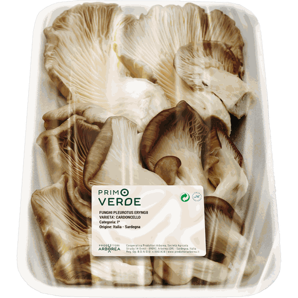 Vaschetta di funghi Primoverde