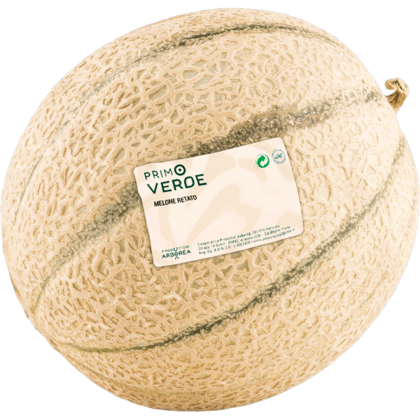 Melone retato Primoverde